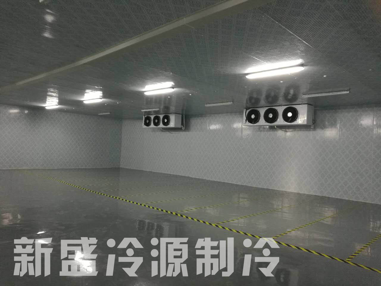 DHL国际快递冷库项目
